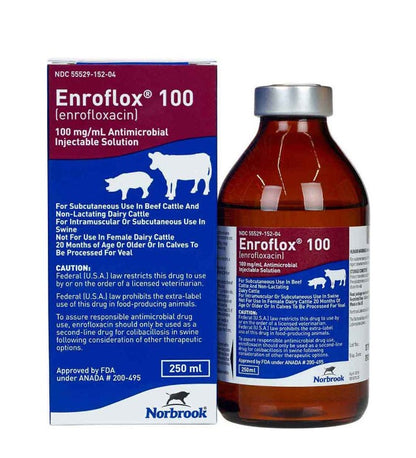 Enroflox 100 for Beef Cattle, Non-Lactating Dairy Cattle & Swine