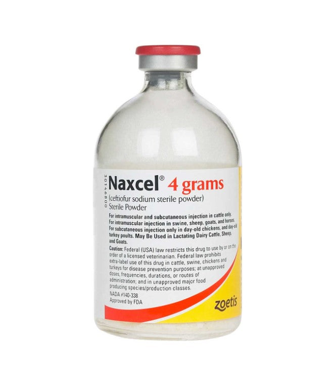 Naxcel for Multiple Species of Animals – Midwest Veterinary Service