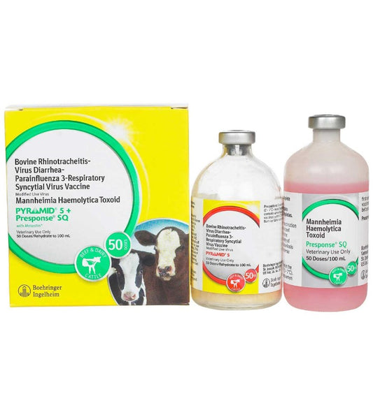 Pyramid 5 + Presponse SQ Cattle Vaccine