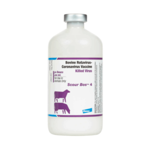 Midwest Veterinary Services | Your source for quality vet services, for both companion and production animals. Serving the Tri-State area of Iowa, Minnesota, South Dakota, and surrounding areas. We also offer a great selection of online veterinary supplies in our online store.